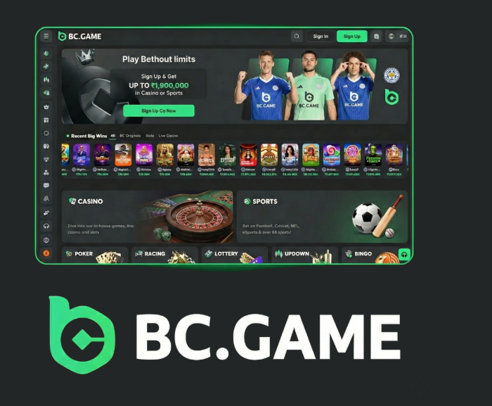 Exploring the Innovative Features of the BC.Game Mobile App